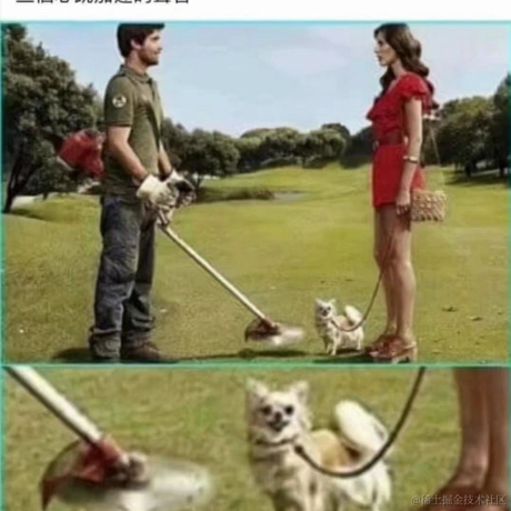 霞哥于2023-04-22 08:11发布的图片