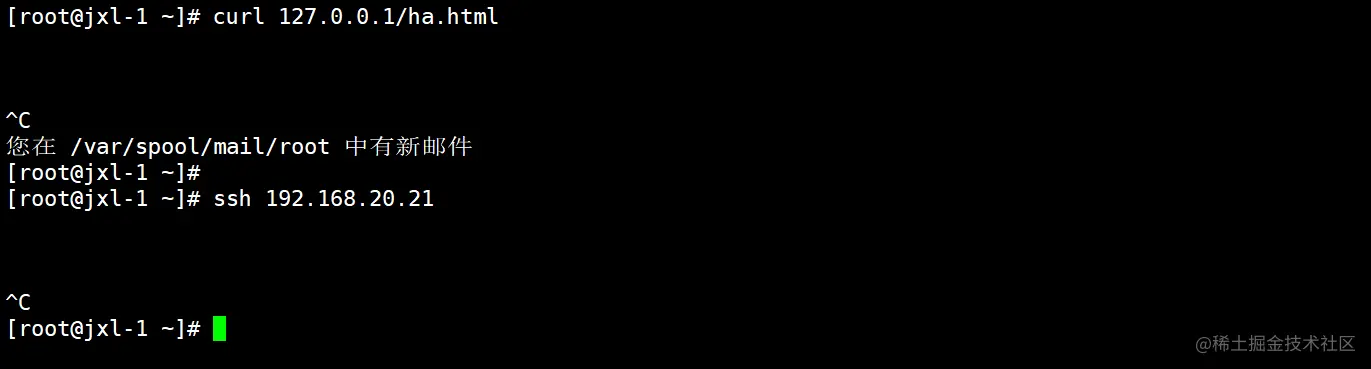 image-20220430172206908.png