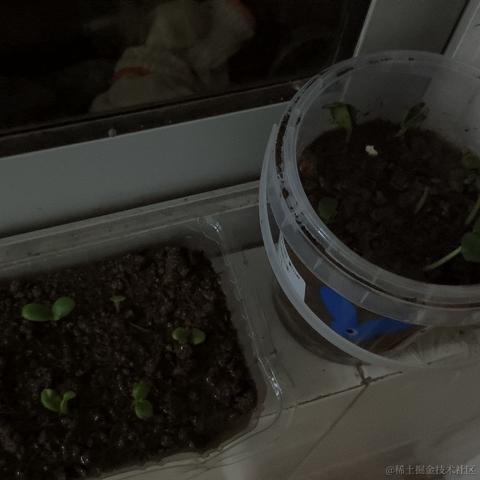 Zaccc于2023-04-18 23:20发布的图片