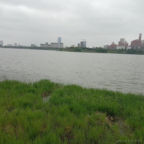 卖核弹的龟于2021-09-06 13:34发布的图片