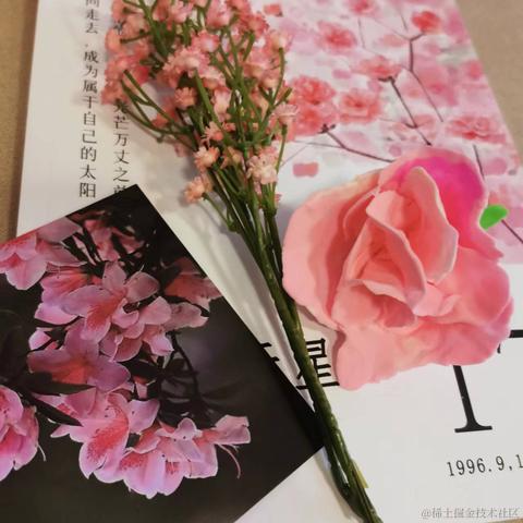 北极的奶琪琳于2022-11-29 22:33发布的图片