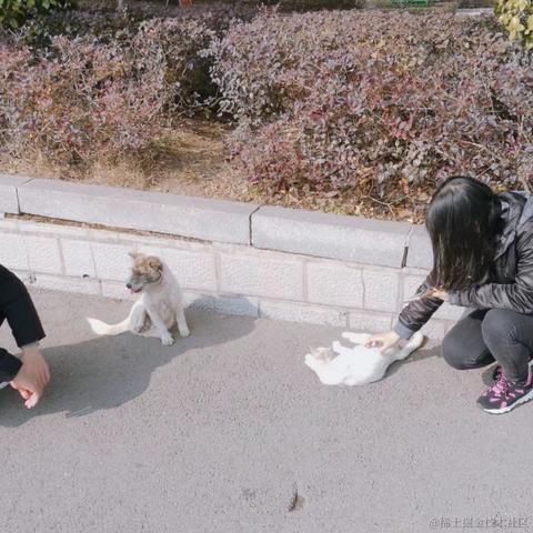 Linn于2022-05-12 10:29发布的图片