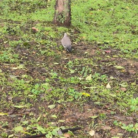 一支奶淇琳于2022-11-24 19:53发布的图片