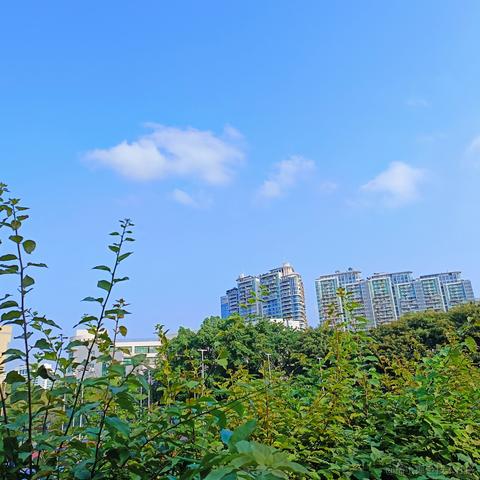 溜溜刘于2023-04-26 08:12发布的图片