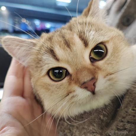 叫个什么名字好呢于2022-11-21 03:21发布的图片