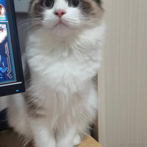 efls于2022-04-24 13:52发布的图片