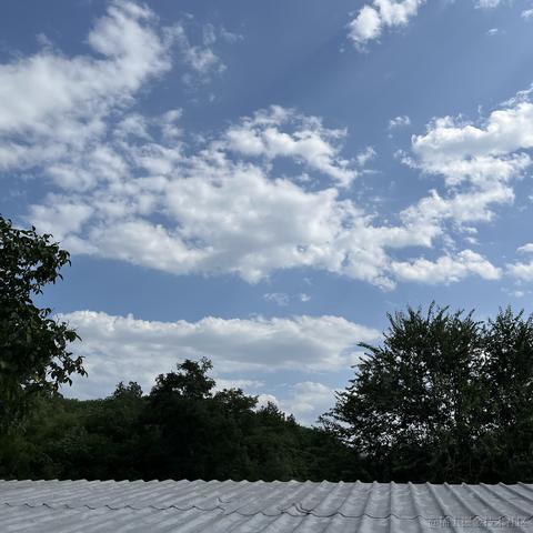 多酸多甜不加香菜于2023-07-17 08:56发布的图片