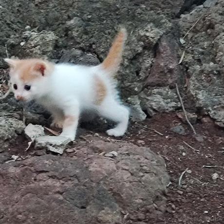 洛芸桑于2023-06-19 07:36发布的图片