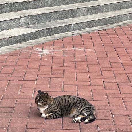 迂回418于2022-12-14 11:22发布的图片