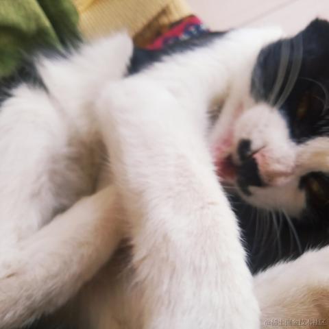 晚里只有鱼于2023-06-19 15:37发布的图片