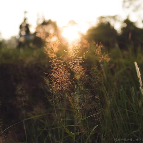 谁来买我的火柴于2023-07-10 16:03发布的图片