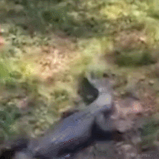 德育处主任于2022-06-24 14:29发布的图片