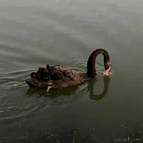 十里八乡有名的后俊生于2023-10-26 13:29发布的图片