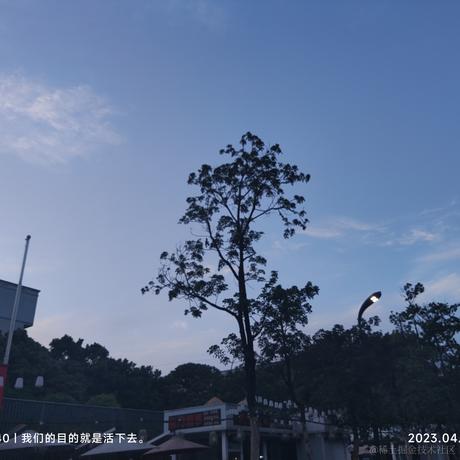 如日中天的纪德于2023-04-13 15:26发布的图片