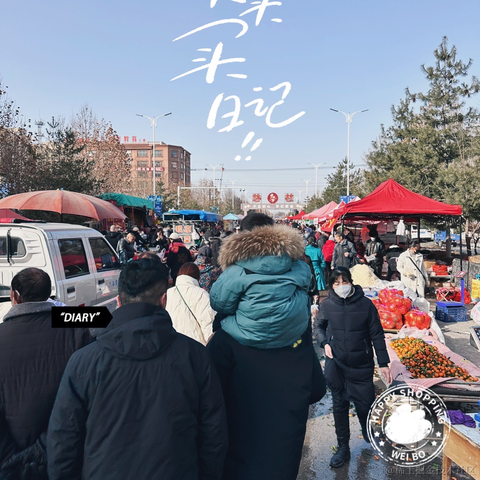 Halo小布丁于2023-01-27 14:18发布的图片