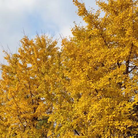 tip321789于2022-12-12 10:23发布的图片