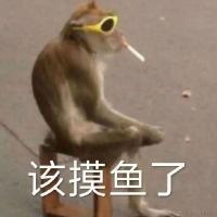 小王同志i于2023-12-20 23:16发布的图片