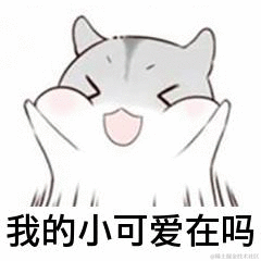 一颗圆子于2021-11-27 01:49发布的图片