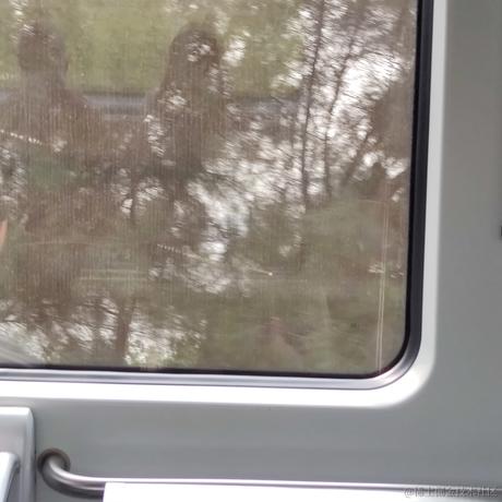 小小小伞于2022-11-18 14:56发布的图片