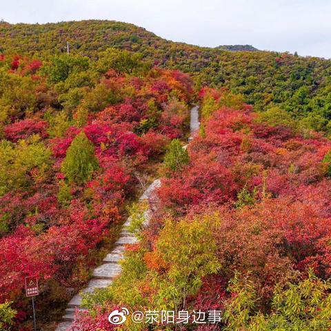 爱吃荆芥于2020-10-30 09:54发布的图片