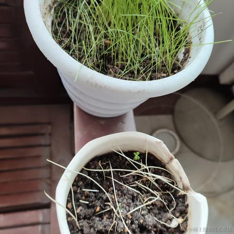 秋得麻袋于2023-06-03 12:24发布的图片