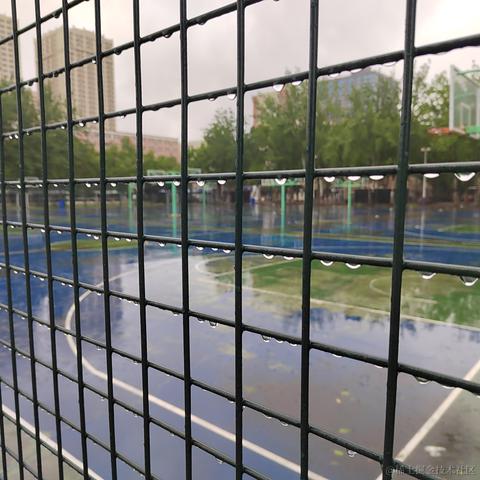 日月昭昭于2023-04-23 14:53发布的图片