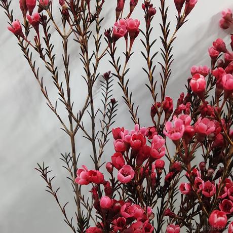 yyc_two于2023-01-30 15:00发布的图片