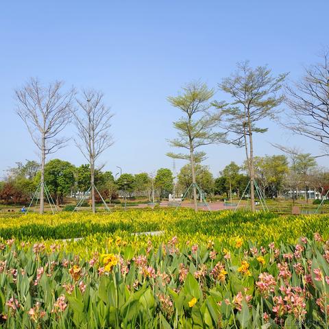 柒号华仔于2023-03-05 14:08发布的图片