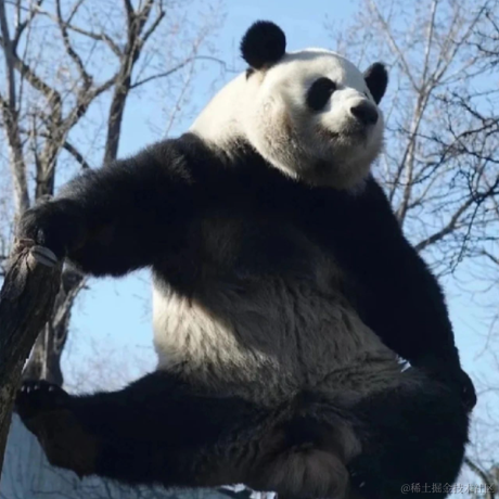 我不是有名字吗嘛于2023-05-30 15:53发布的图片