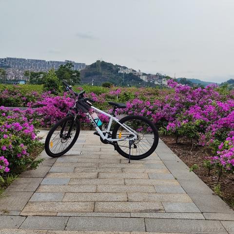 媛媛啊9813于2024-05-01 21:57发布的图片