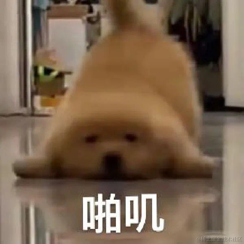 DirosYoung于2023-06-02 20:30发布的图片