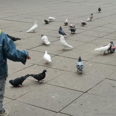 LuciferPluto于2023-05-25 18:47发布的图片