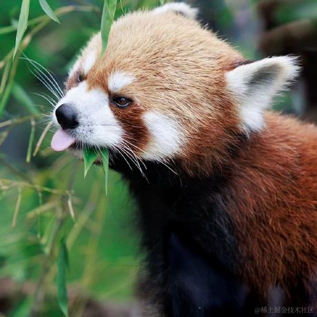 妄想逻辑于2023-06-21 13:39发布的图片