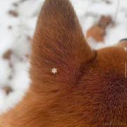 Joytay的个人资料头像