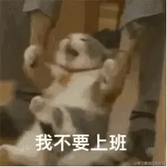 玛露露喵于2023-05-30 08:39发布的图片