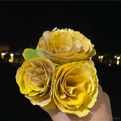 汽水味的小盆友于2022-11-21 22:08发布的图片