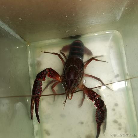 已注销于2022-10-29 07:52发布的图片