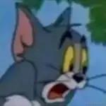 才不是顶碗人于2022-11-21 21:09发布的图片