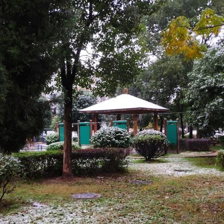 鲨鱼辣椒哦买嘎于2020-12-14 10:33发布的图片