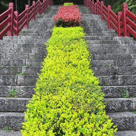 铸币小向晚于2023-06-24 07:18发布的图片