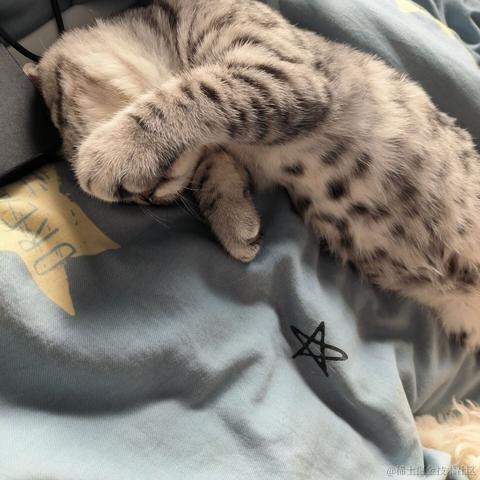 宣春不饿于2022-11-27 16:59发布的图片