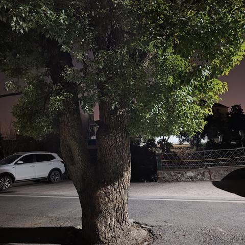 LD2721于2024-01-12 21:07发布的图片