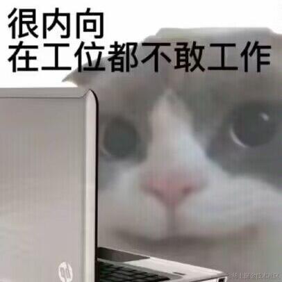 Tasay于2023-03-23 17:24发布的图片