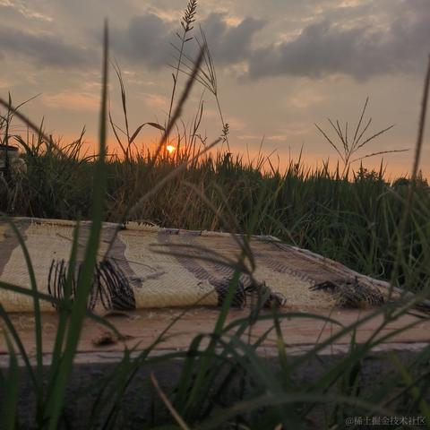 寄篱于2023-08-13 23:37发布的图片