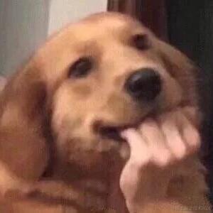 贝极星不是憨憨于2022-12-03 20:23发布的图片