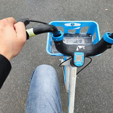Ly林于2021-05-21 18:09发布的图片
