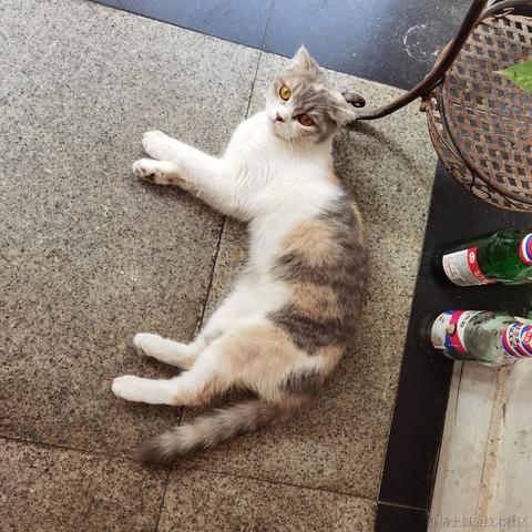 你好我就要起飞了于2022-08-05 08:18发布的图片