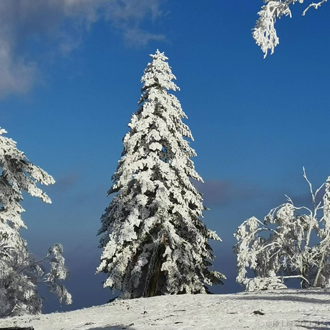 Sorin_joe于2022-11-13 17:29发布的图片