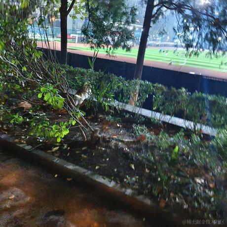 藤君于2022-11-26 08:12发布的图片