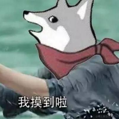 先煮鱼于2021-05-17 08:48发布的图片